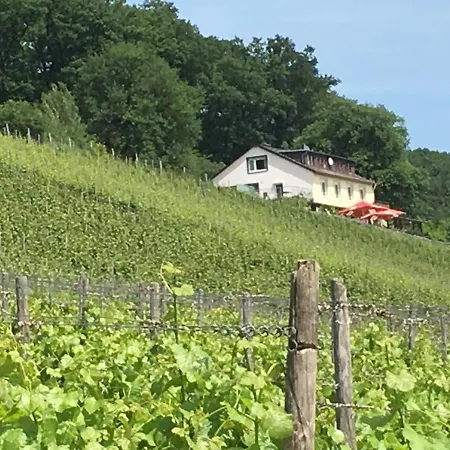 Rebenhaus * רודסהיים אם ריין