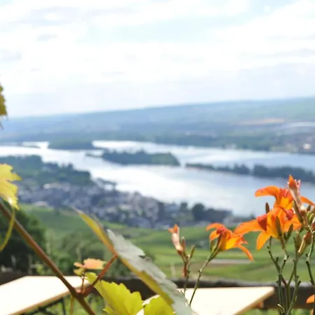 Rebenhaus Daire Rüdesheim am Rhein