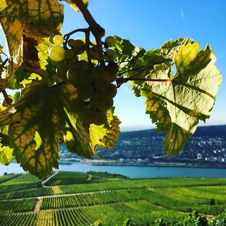 Appartement Rebenhaus Rüdesheim am Rhein