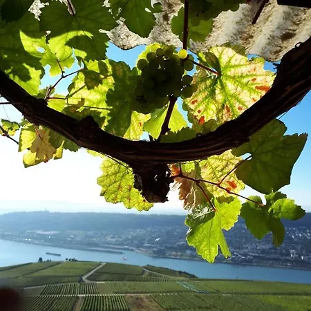 דירה Rebenhaus רודסהיים אם ריין