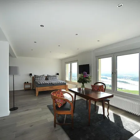Rebenhaus * Ruedesheim am Rhein