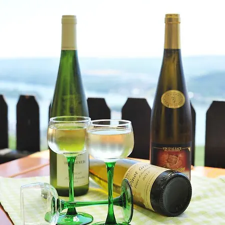 דירה Rebenhaus רודסהיים אם ריין