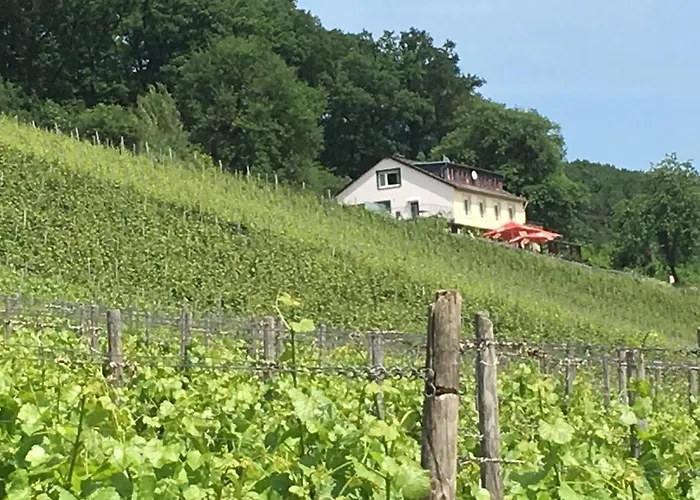 Rebenhaus * Рюдесхайм-на-Рейне