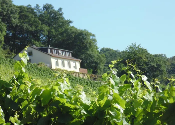 Апартаменты Rebenhaus *