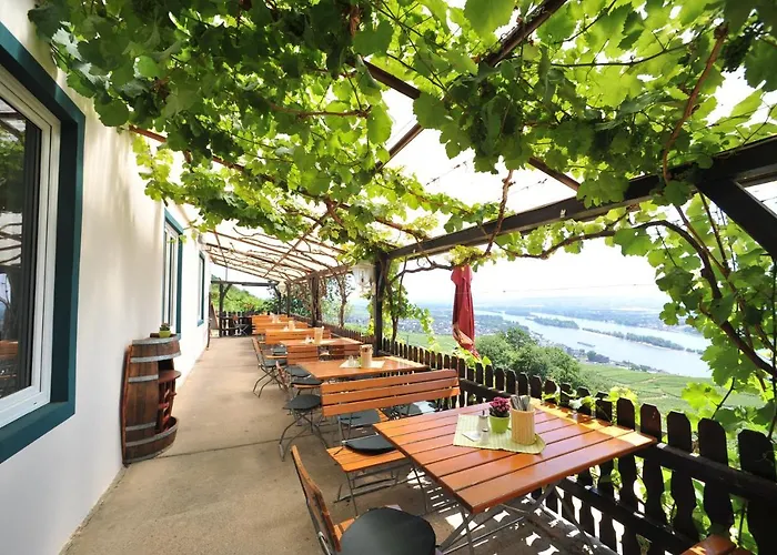 Rebenhaus Апартаменты Рюдесхайм-на-Рейне