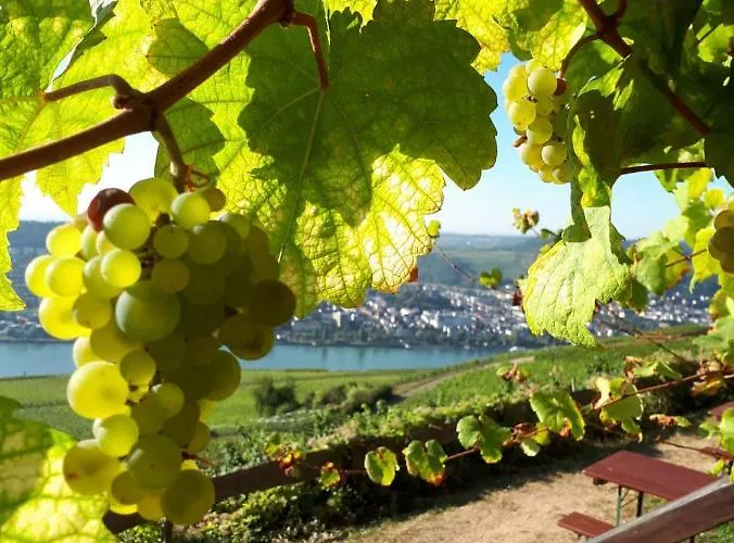 Апартаменты Rebenhaus *