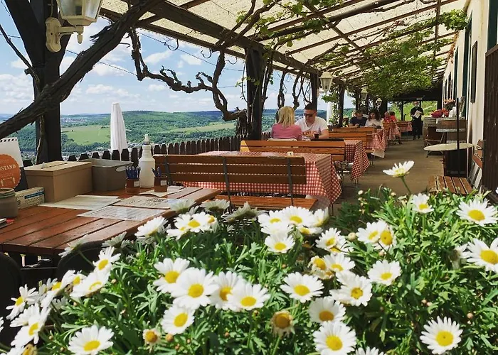 Апартаменты Rebenhaus Рюдесхайм-на-Рейне