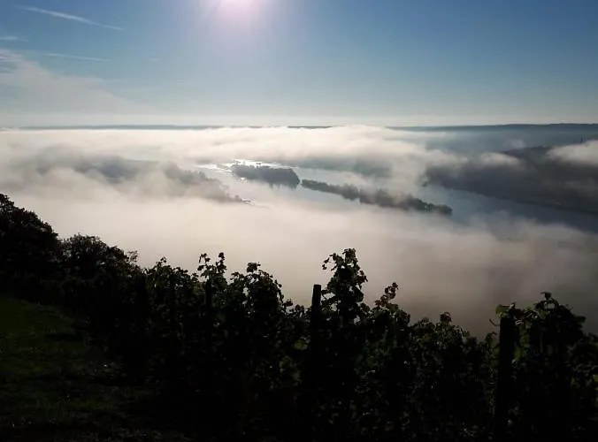 Апартаменты Rebenhaus