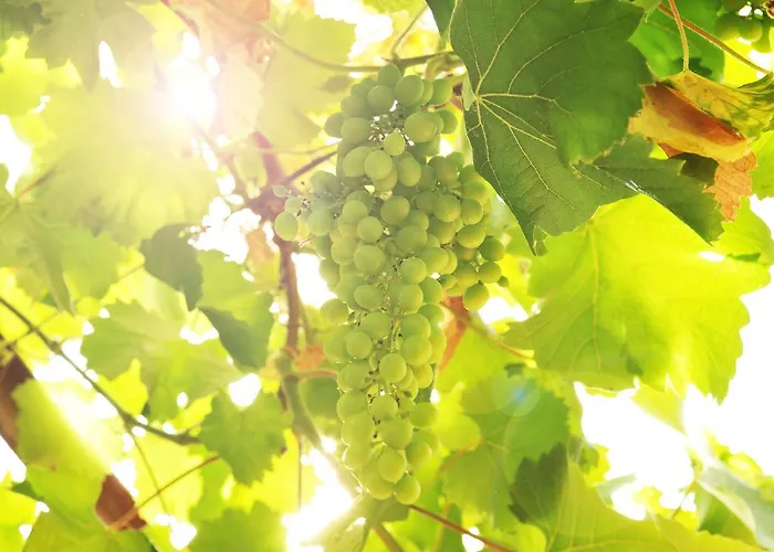 Апартаменты Rebenhaus