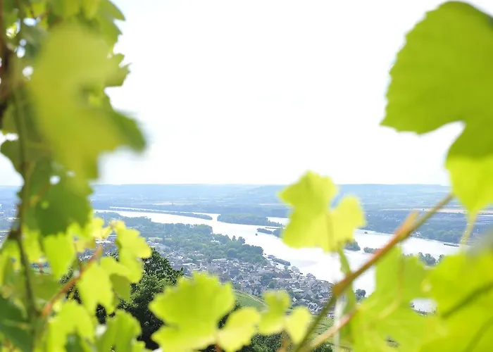 Апартаменты Rebenhaus